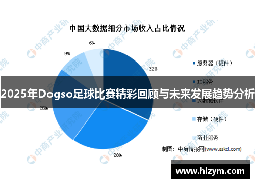 2025年Dogso足球比赛精彩回顾与未来发展趋势分析